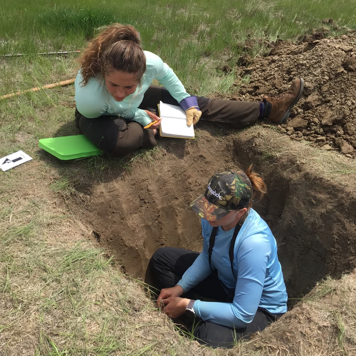Havranek soil pit