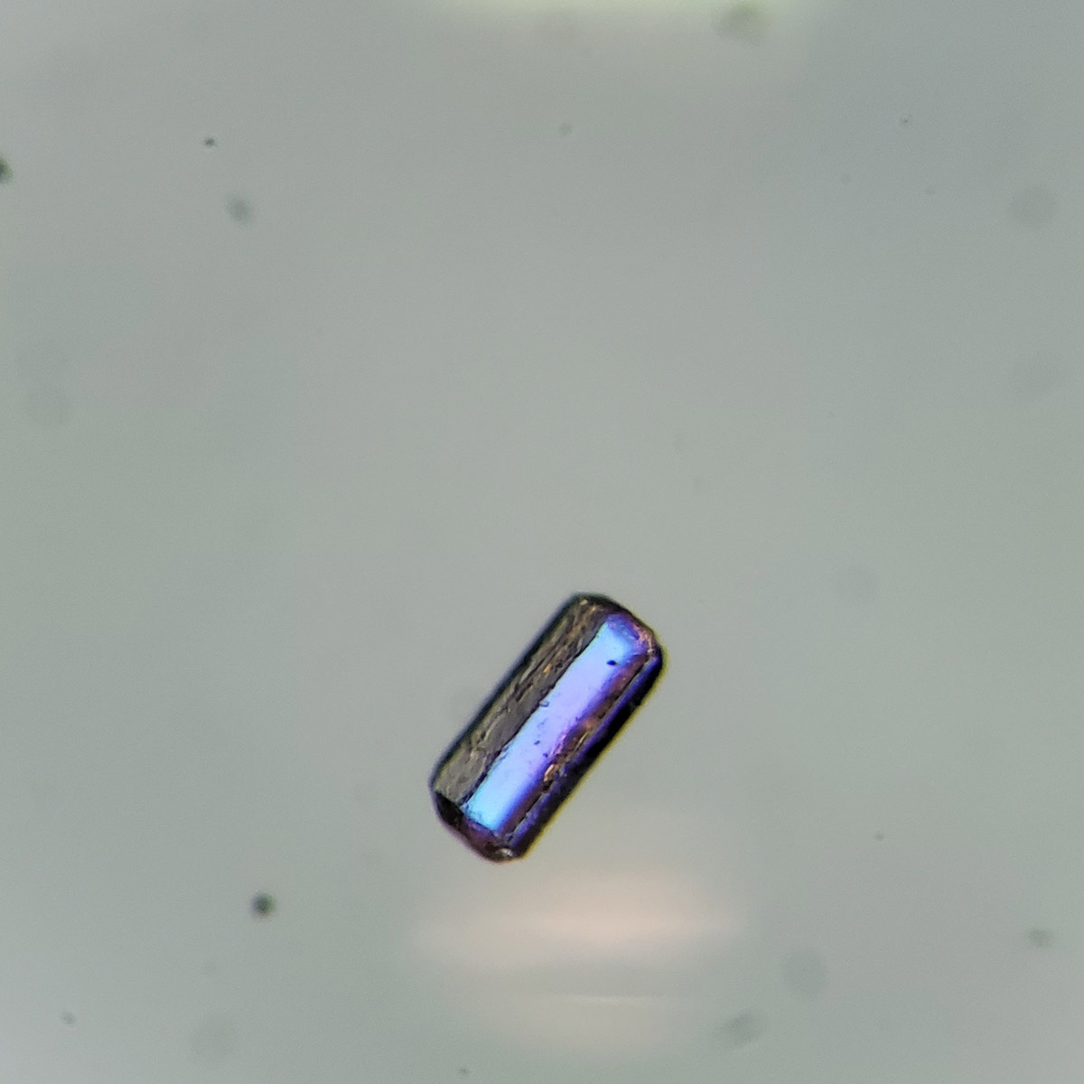 apatite grain