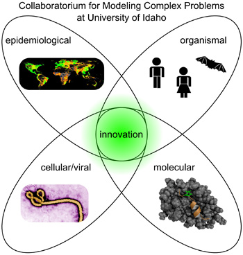 a venn diagram representing the Collaboratorium for Modeling Complex Problems