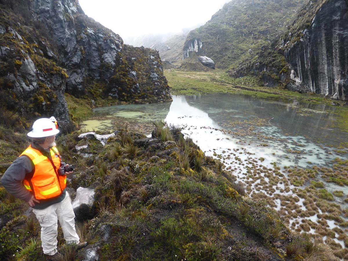 McIntyre looks across a wetland in New Guinea.