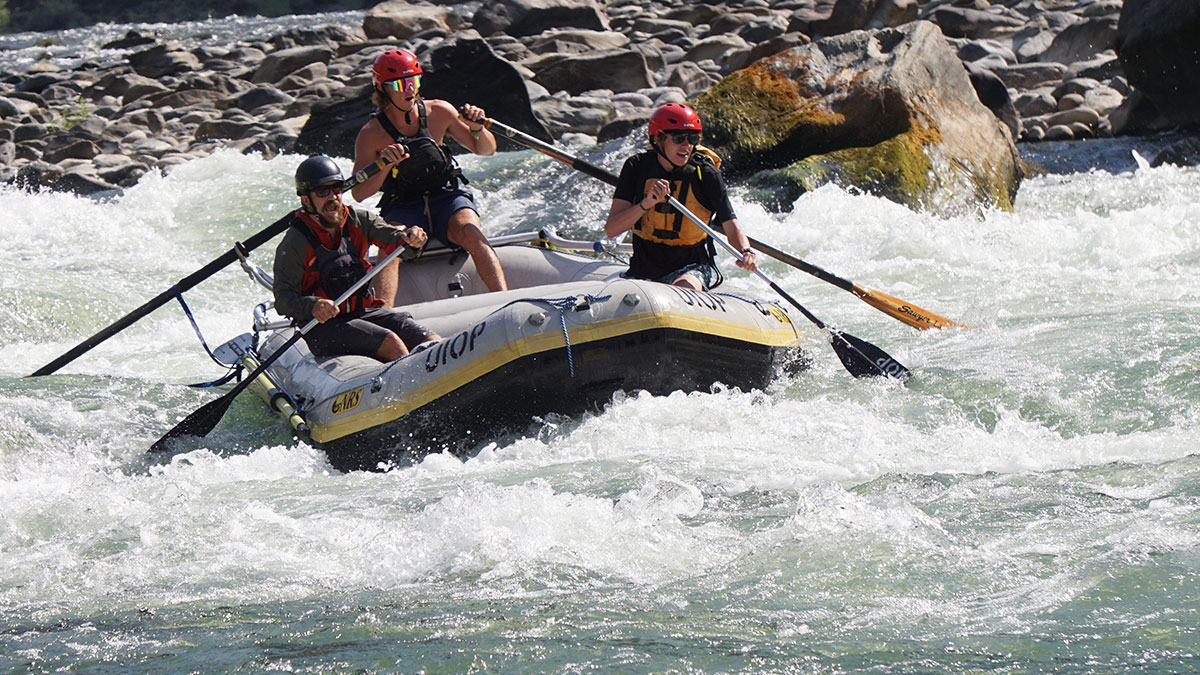 Trips and Activities