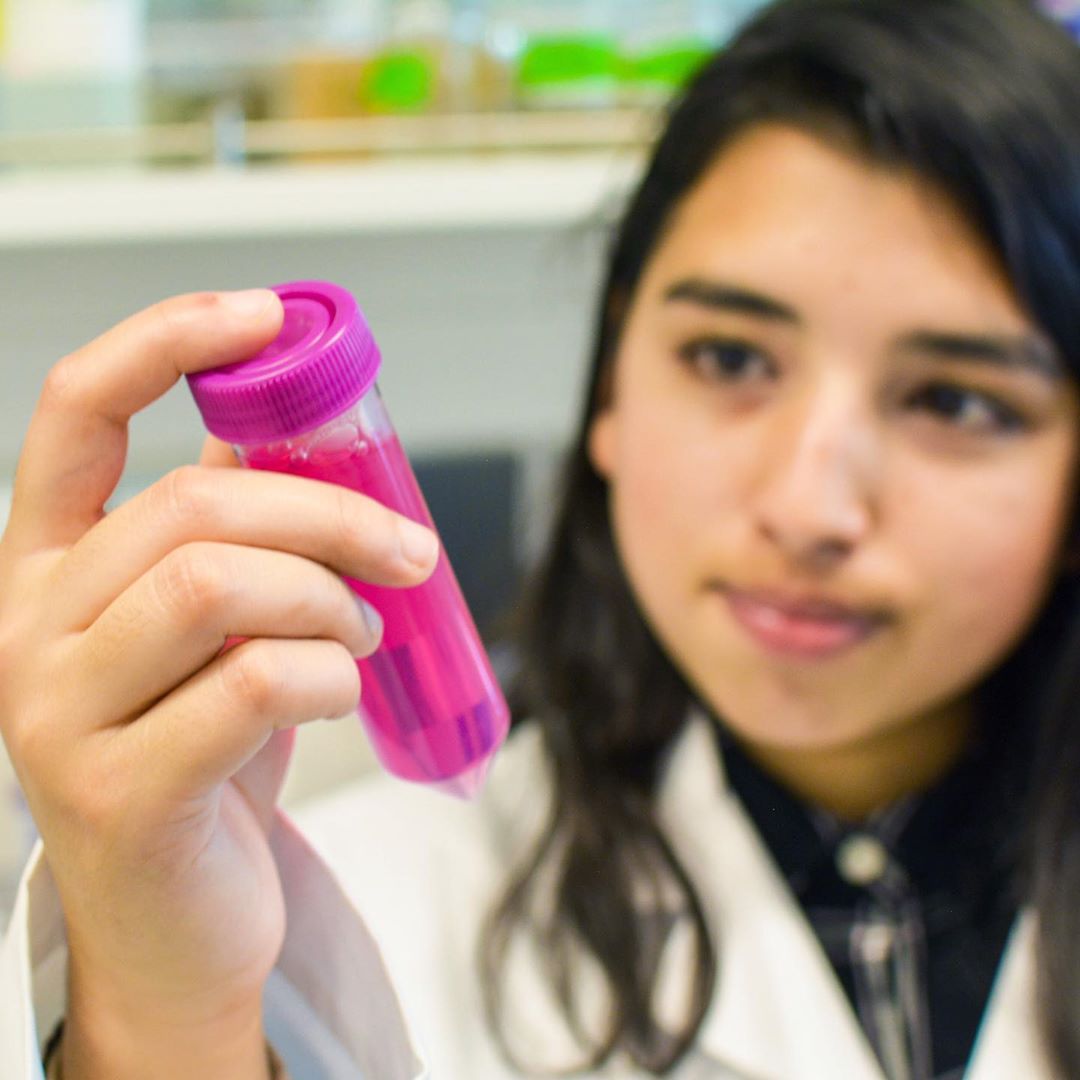 Biological engineering senior Silpa Subedi