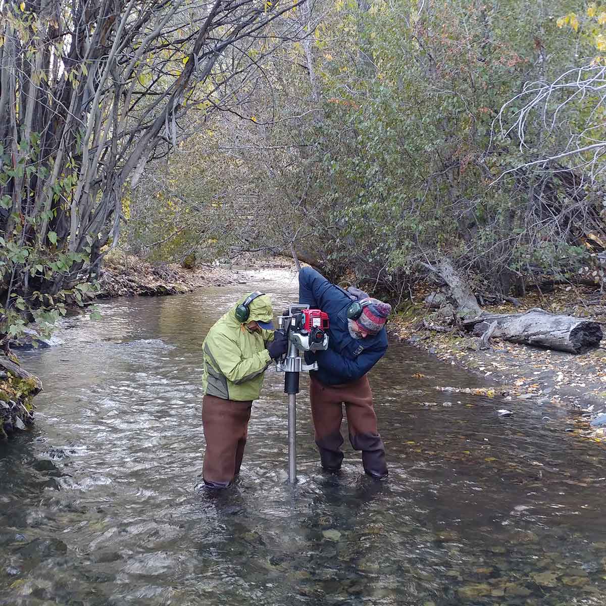 Trail Creek