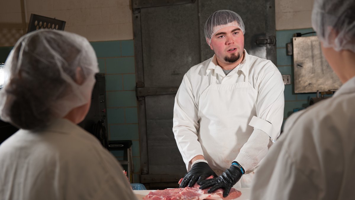 UI student of CALS tries his hand at butchering with Vandal Brand Meats. UI student of CALS tries his hand at butchering with Vandal Brand Meats.