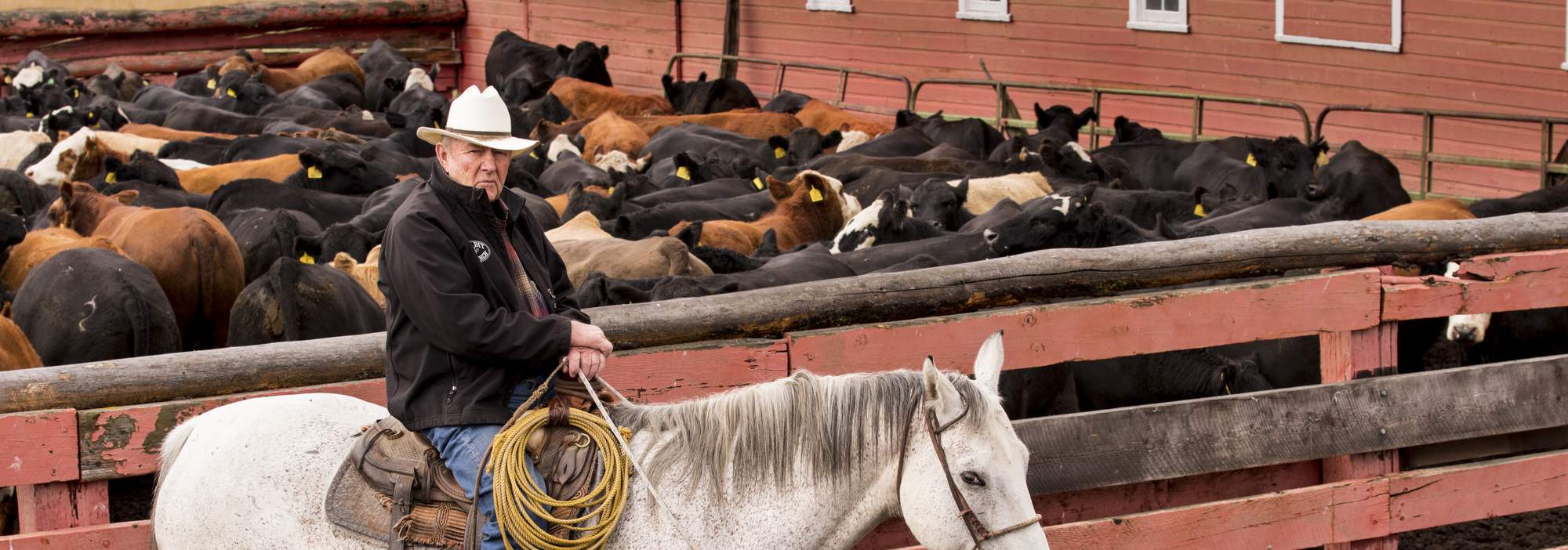 Harry L. Bettis sits on horseback at his southern Idaho cattle ranch.
