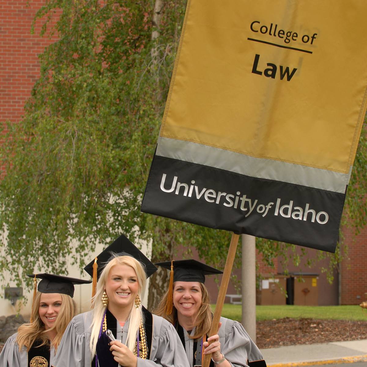 The law grads of UI, class of 2015. The law grads of UI, class of 2015.
