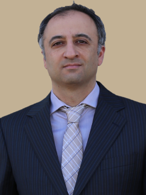 Ata Zadehgol