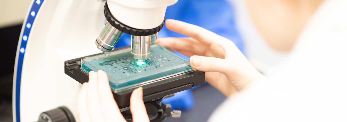 A scientist looks through a microscope.