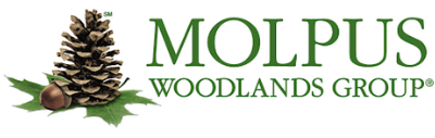 Molpus Woodlands Group logo