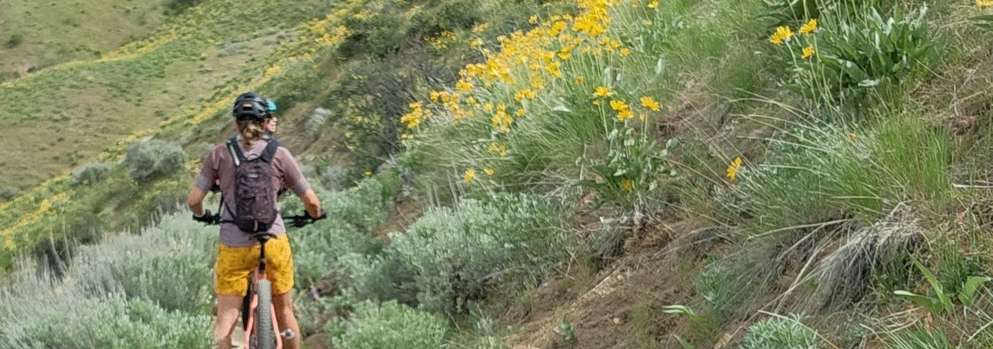 Mountain bike in Boise foothills in the spring