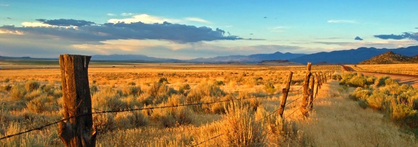 Rangelands 2022