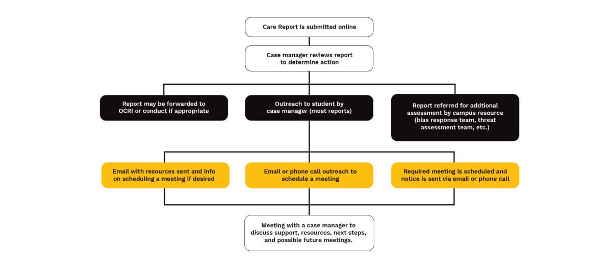 VandalCARE Chart