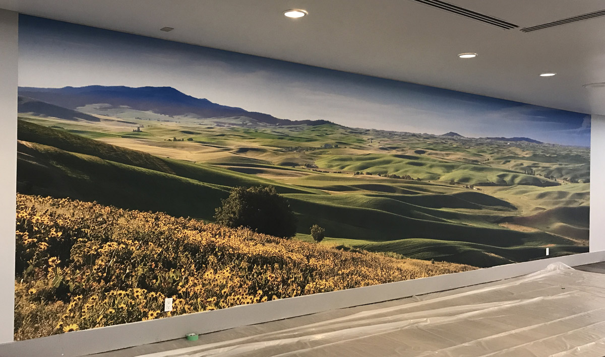 Mural Mural