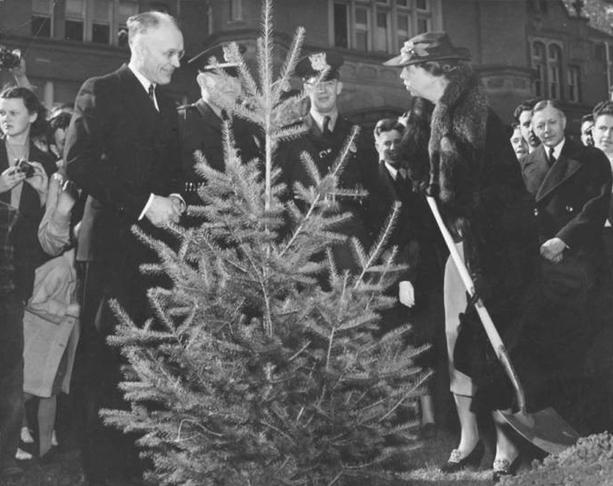 Eleanor Roosevelt plants a Douglas Fir in the Presidential Grove, 1938