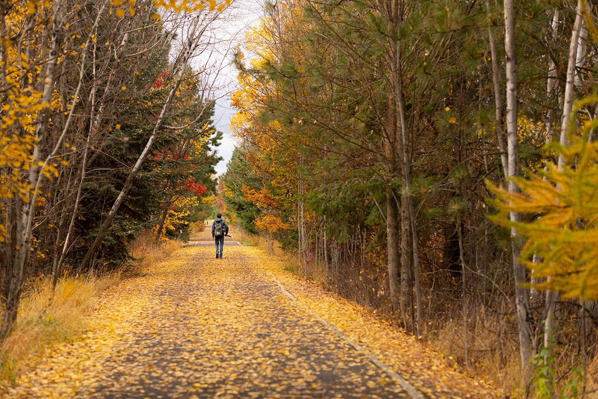 A student walks along Paradise Path in the fall, with yellow leaves on the ground and scattered on the path.