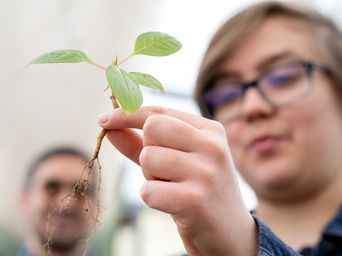 Student holding a sprouting plant with another student in the background