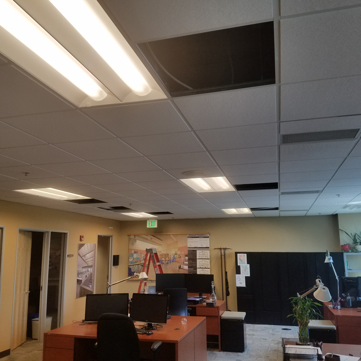 The original lights in and gaps in the acoustic tile ceiling of the U of I Integrated Design Lab.