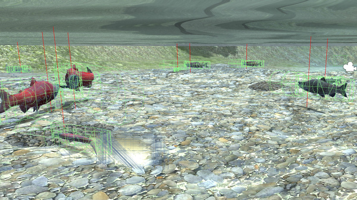 A screenshot from the Salmon Sim virtual environment, showing several salmon swimming underwater.
