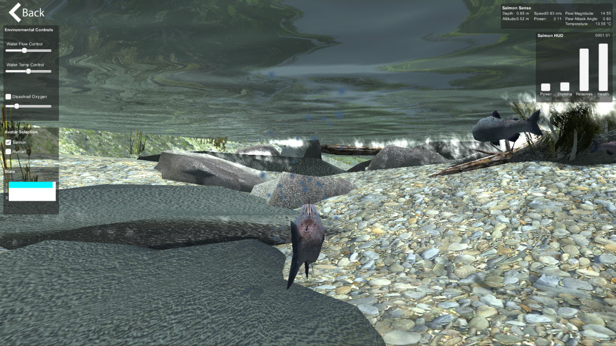 A screenshot from the Salmon Sim virtual environment, showing a fish swimming underwater. 