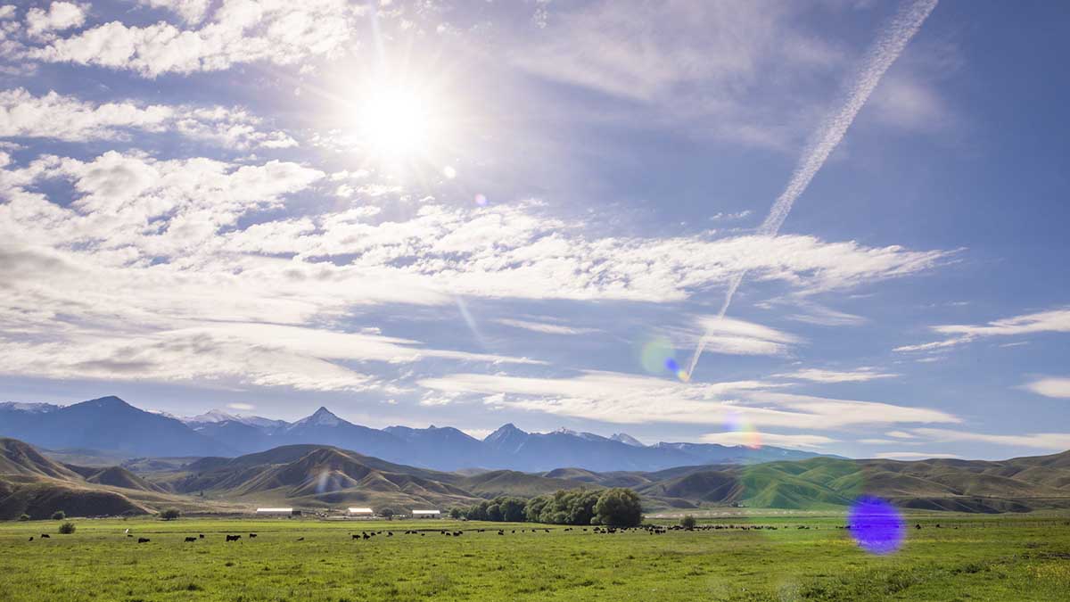 View of ranch