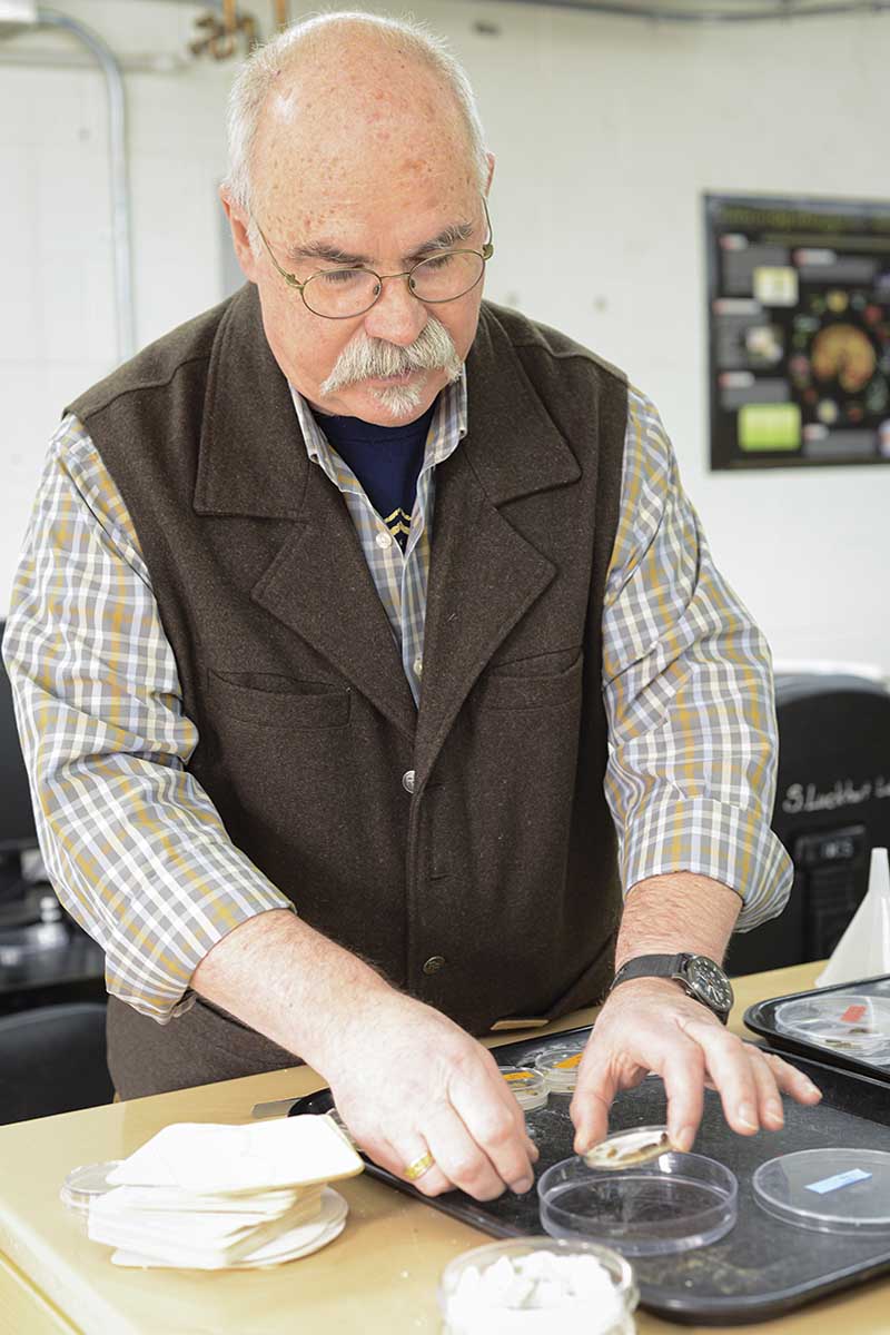 A man examines a petri dish in a lab.