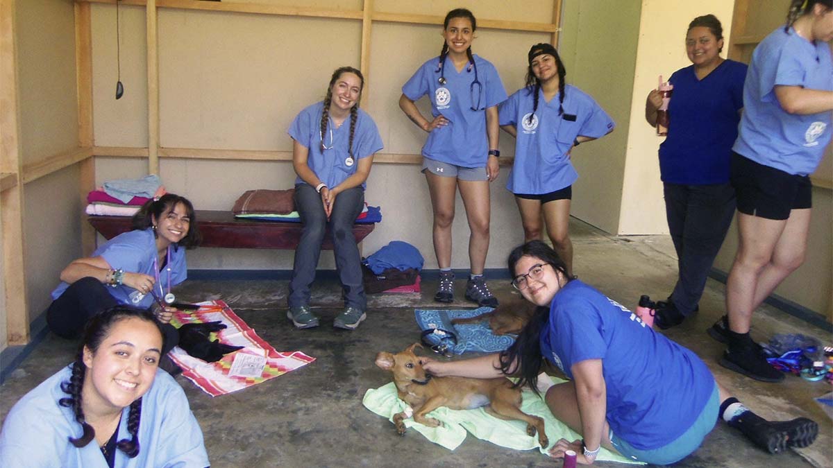 A group of veterinary students smile at the camera while several animals lie on the floor.