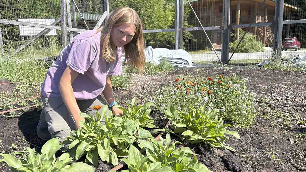 Woman working in a flower bed.
