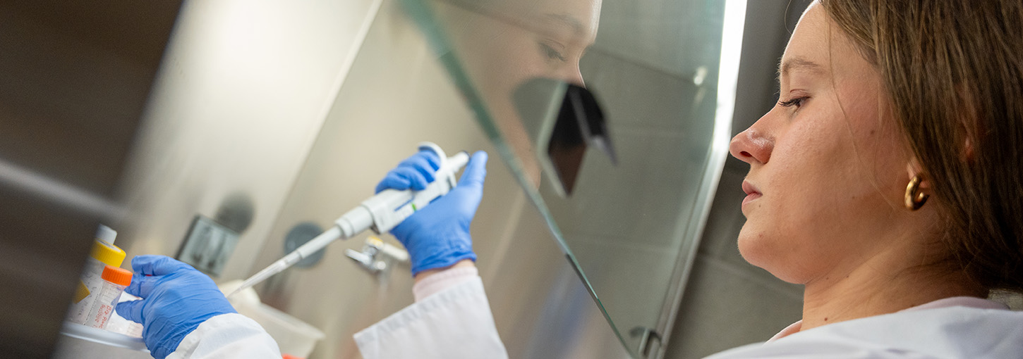 Laboratory researcher using a pipette to passage cell enteroids for swine research inside the MIMI Laboratory at the University of Idaho.