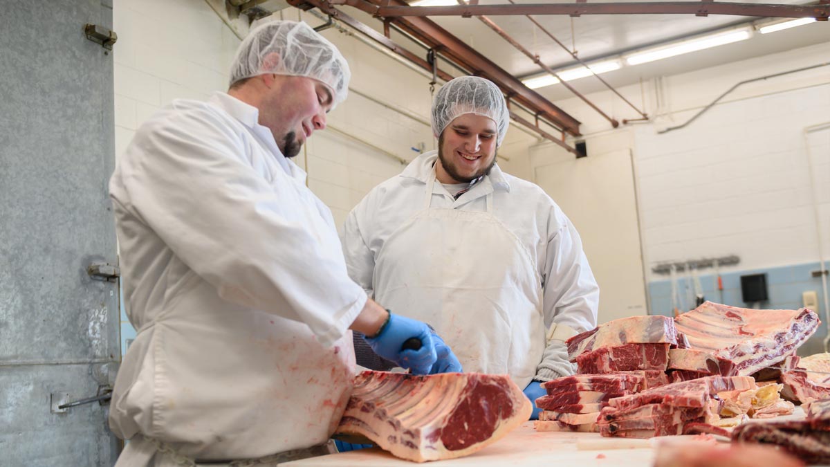 Brendan Negri works with Vandal Brand Meats manager James Nasados at the U of I meat science lab