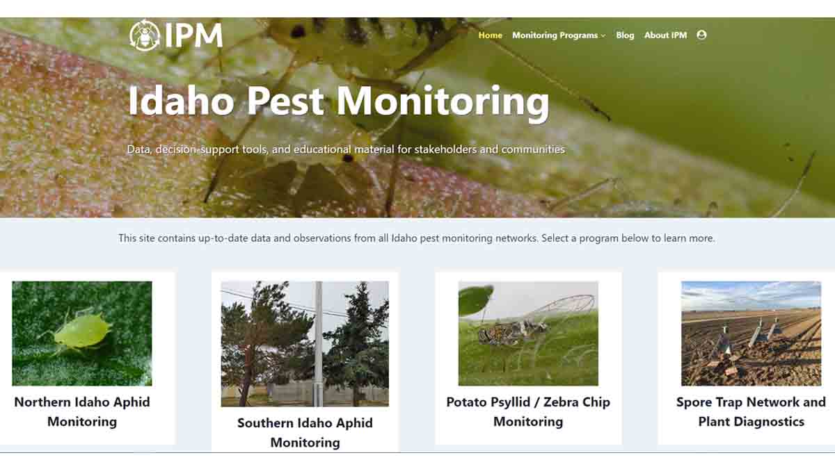 Screenshot of a Idaho pest monitoring website