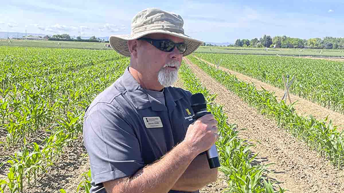 A man with a microphone out in a crop field