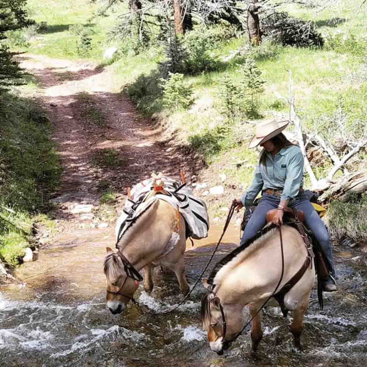 A woman with two horses drinking out of a creek.