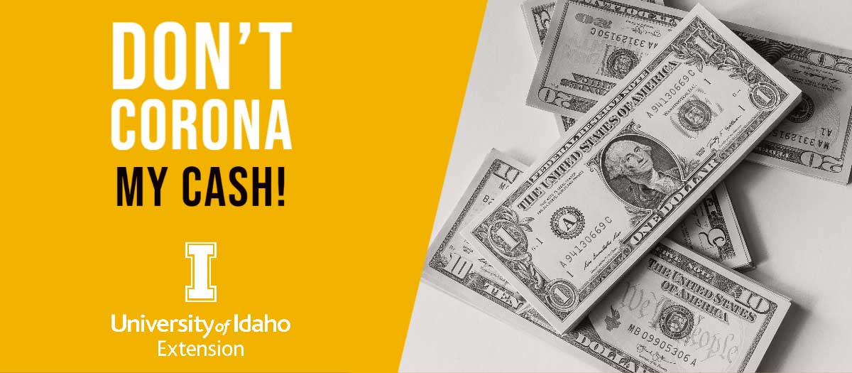 Don't Corona My Cash lessons graphic