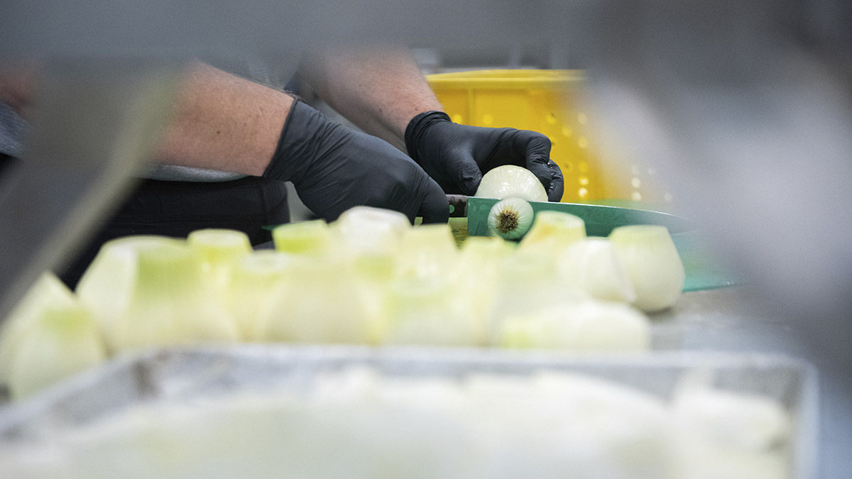 A person slicing onion bulbs