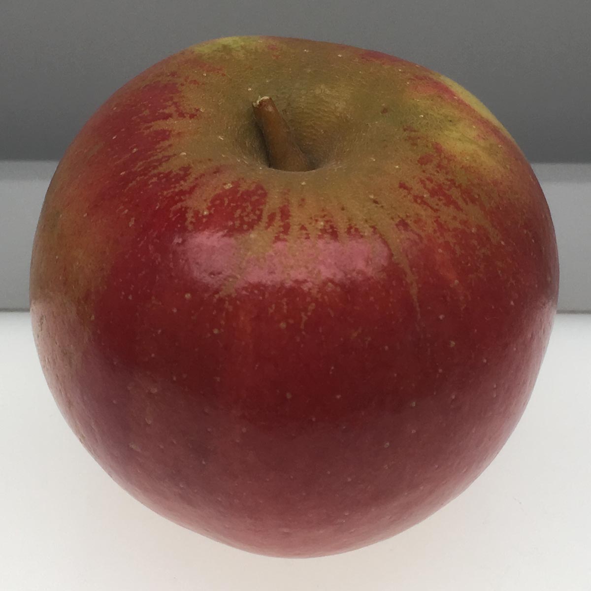 Cox's Orange Pippin apple
