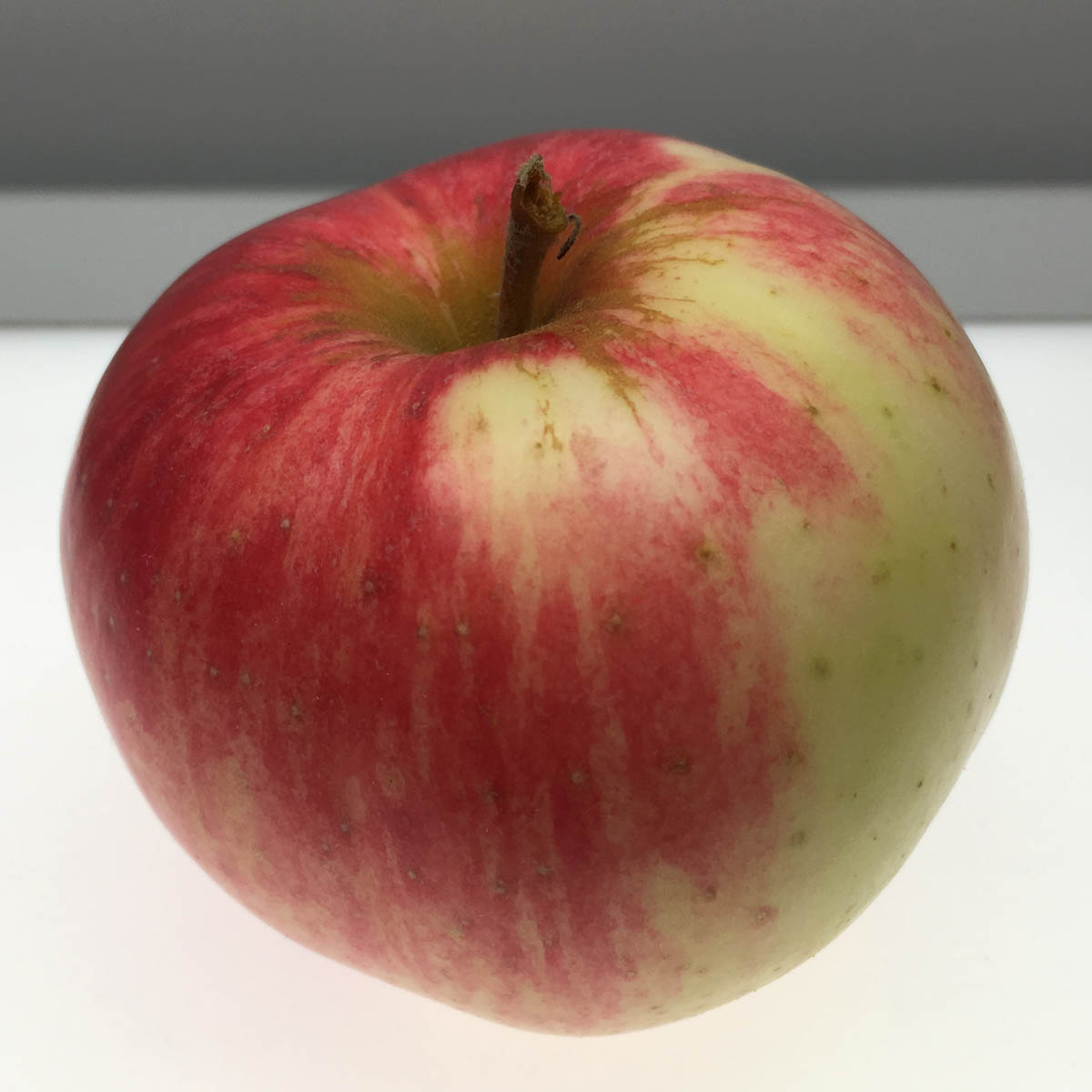 Duchess of Oldenberg apple