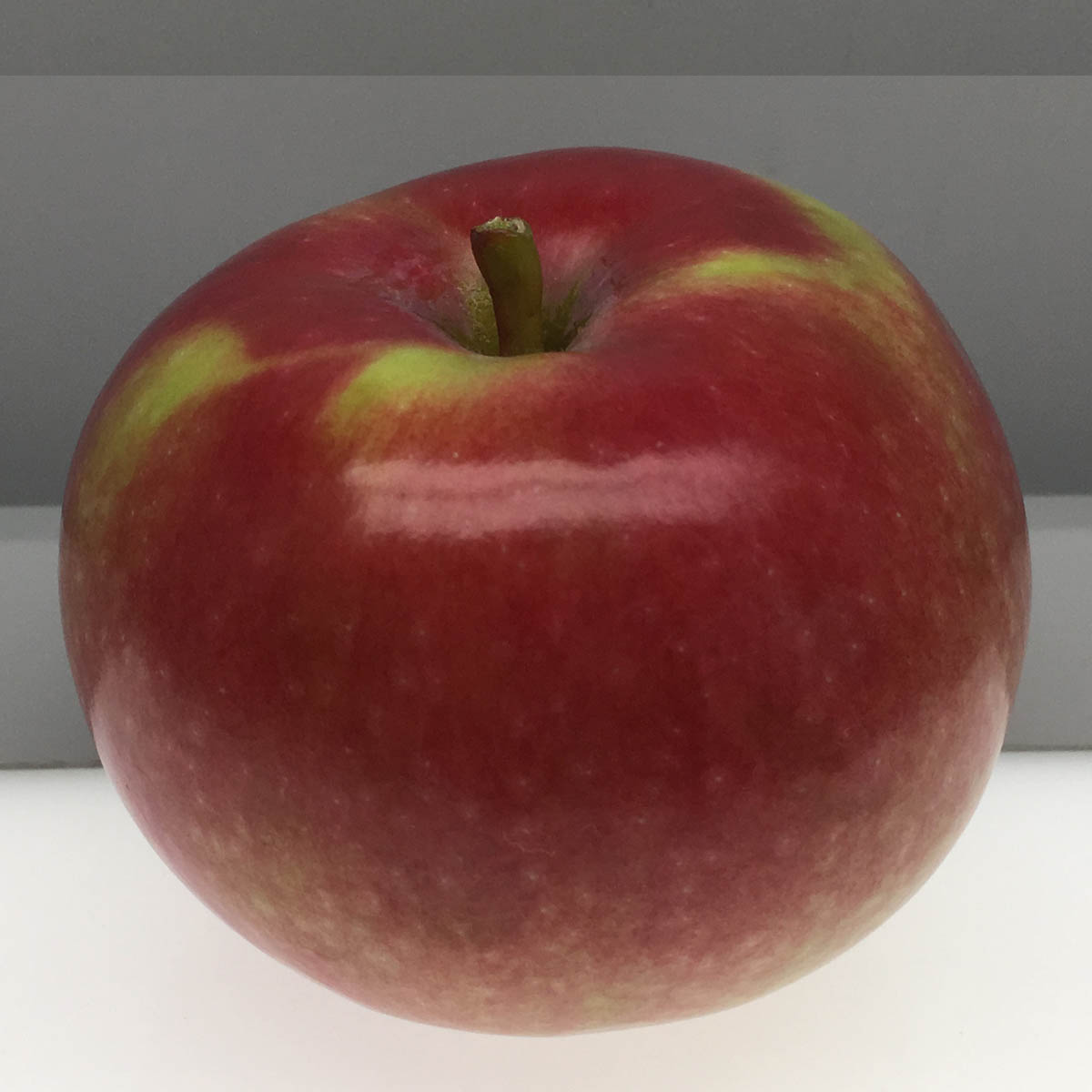 Gravenstein apple