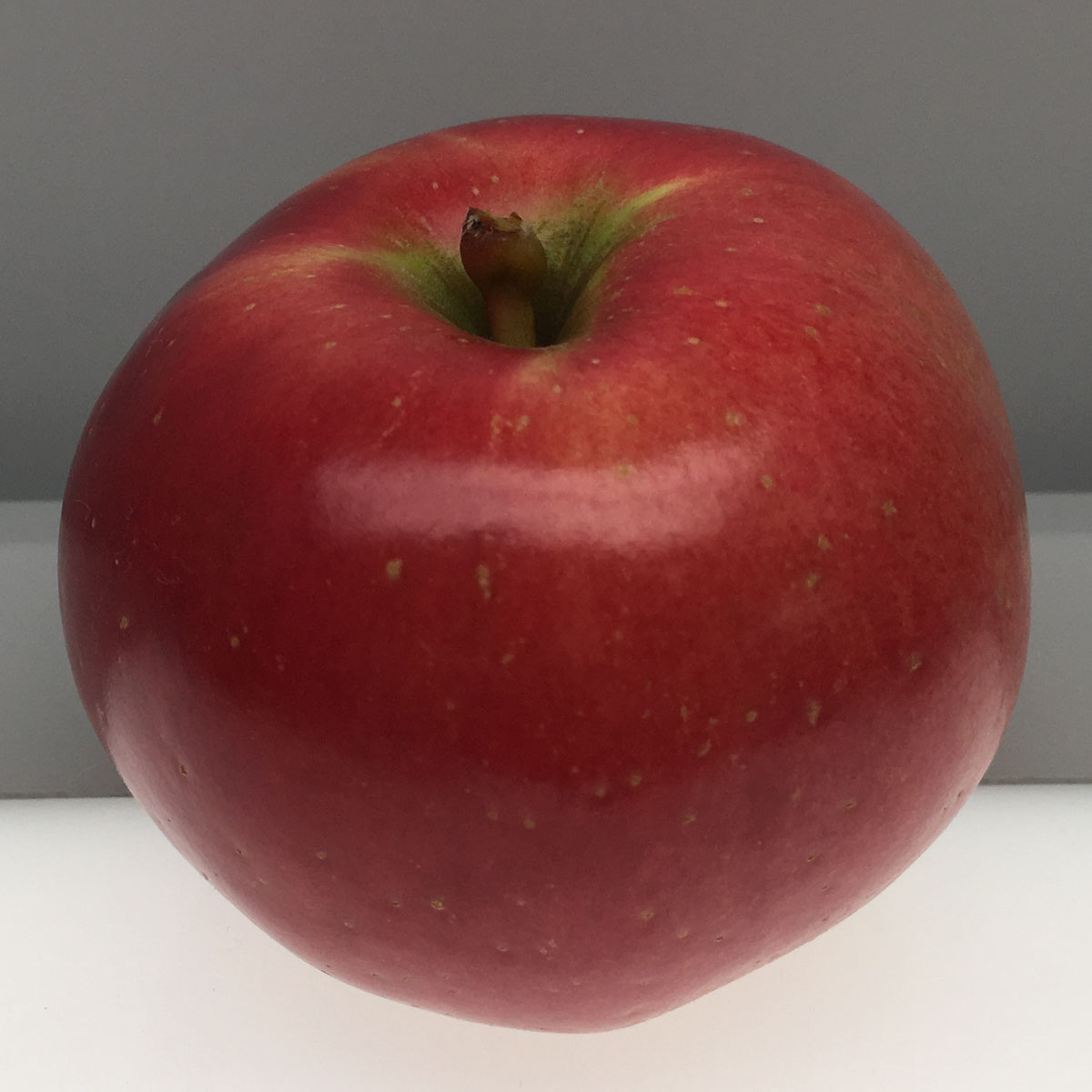 Melrose apple