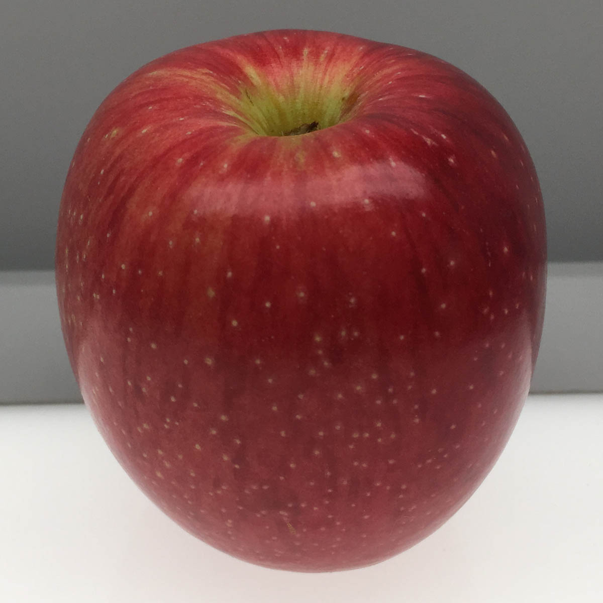 Ramsdell Sweet apple