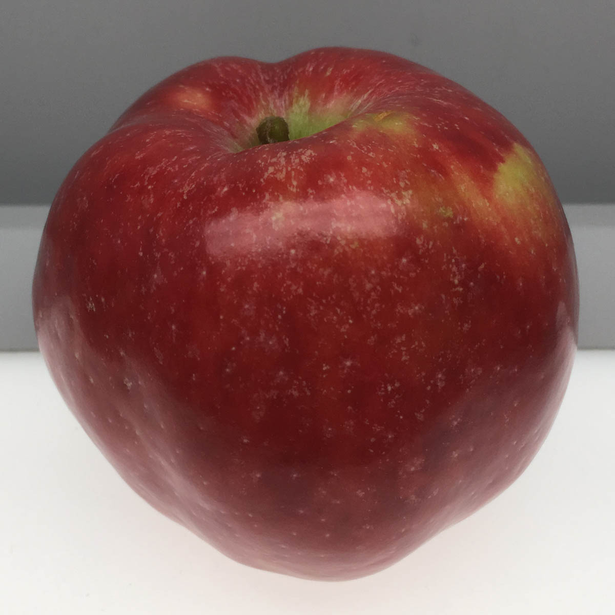 Red Gravenstein apple