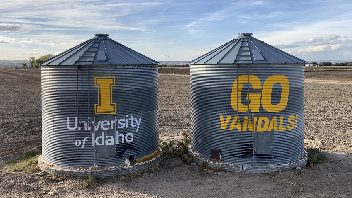 Grain bins, one with the text "University of Idaho" and the other with "Go Vandals," located in Parma, Idaho.