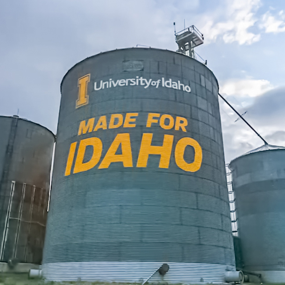Grain bin with the text "University of Idaho: Made for Idaho" and located in Picabo, Idaho.