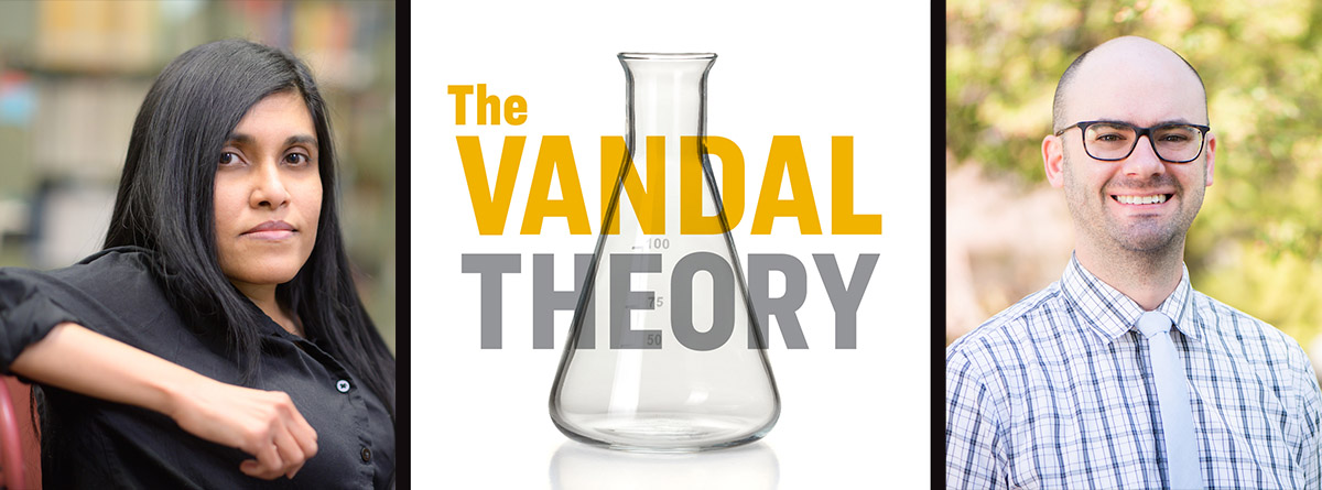 The Vandal Theory