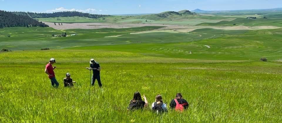 people in grassy fields