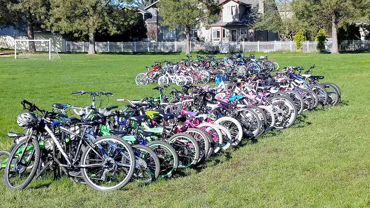 A large group of bikes in a park