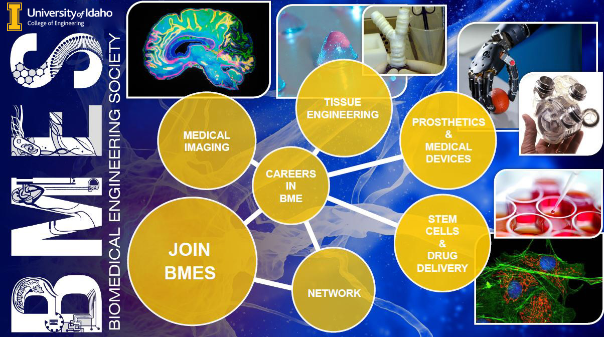 Join the University of Idaho BioMedical Engineering Society to network and learn about careers in medical imaging, tissue engineering, prosthetics, medical devices, stem cells, and drug deliver.