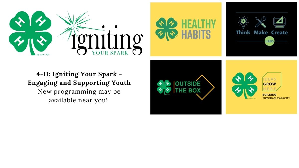 Igniting Your Spark - Engaging and Supporting Youth: New Programming