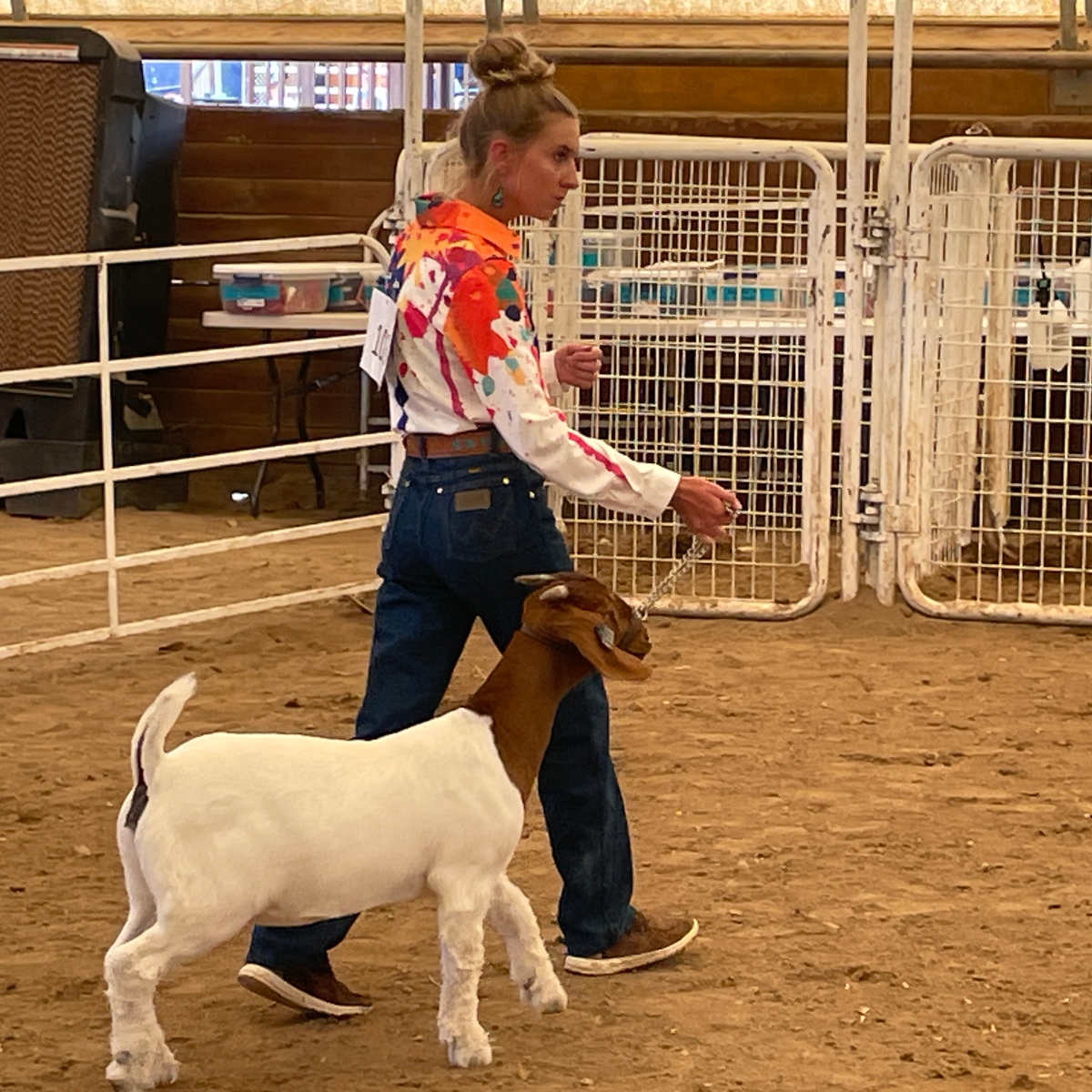 A 4-H participant shows a goat at the fair.