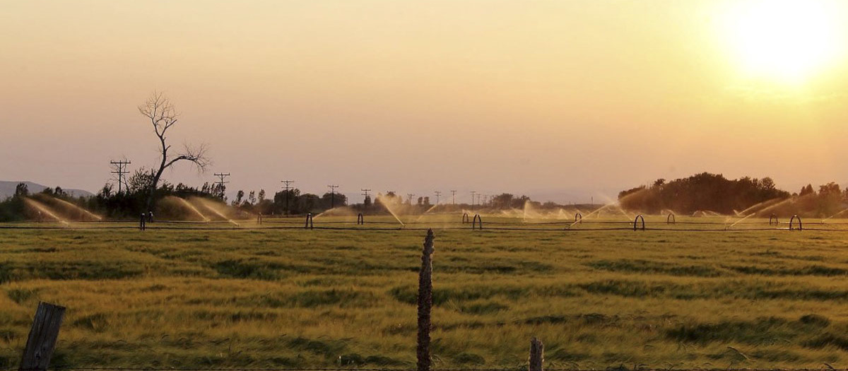 Scenic view of the irrigation system at sunset