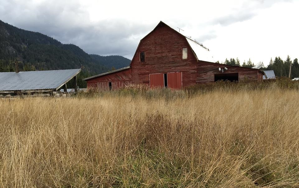 A barn with brush in the foreground.